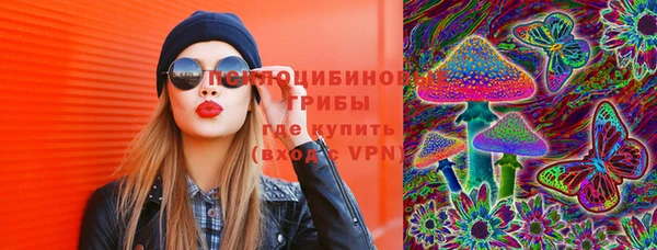 героин Каменка