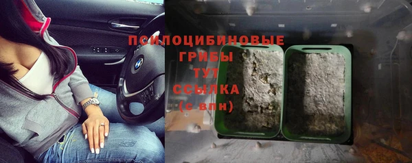героин Каменка