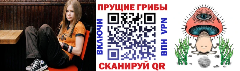 Галлюциногенные грибы Cubensis  Купить  Светлоград 